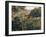 Algerian Landscape: the Ravine De La Femme Savage-Pierre-Auguste Renoir-Framed Art Print