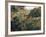 Algerian Landscape: the Ravine De La Femme Savage-Pierre-Auguste Renoir-Framed Art Print