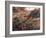 Algerian Landscape-Pierre-Auguste Renoir-Framed Giclee Print