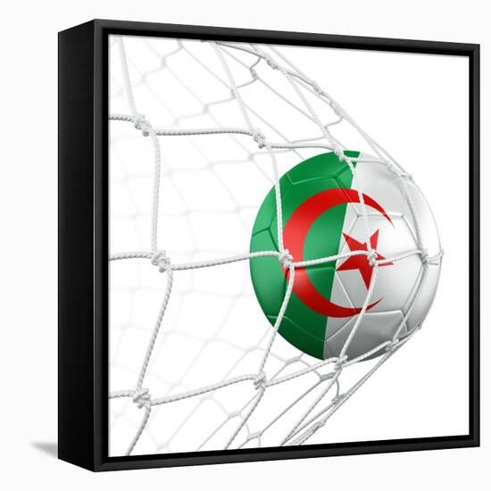 Algerian Soccer Ball in a Net-zentilia-Framed Stretched Canvas