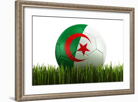 Algerian Soccerball Lying in Grass-zentilia-Framed Art Print