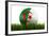 Algerian Soccerball Lying in Grass-zentilia-Framed Art Print