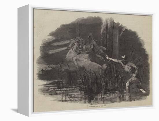 Algerine Will O' the Wisp-null-Framed Premier Image Canvas