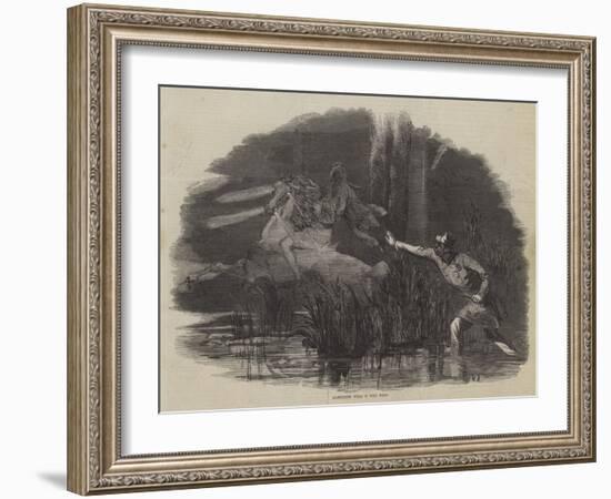 Algerine Will O' the Wisp-null-Framed Giclee Print