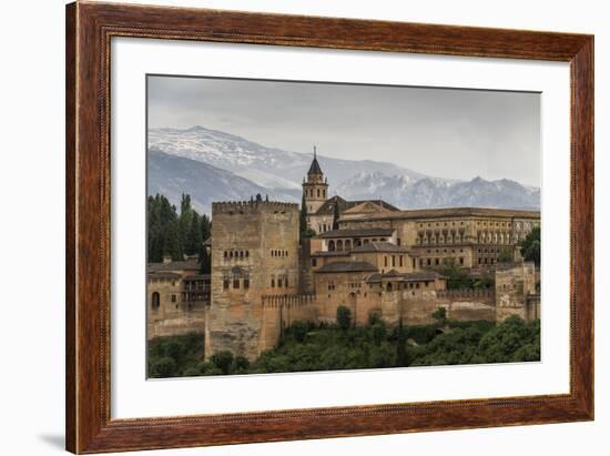 Alhambra, Granada, Province of Granada, Andalusia, Spain-Michael Snell-Framed Photographic Print