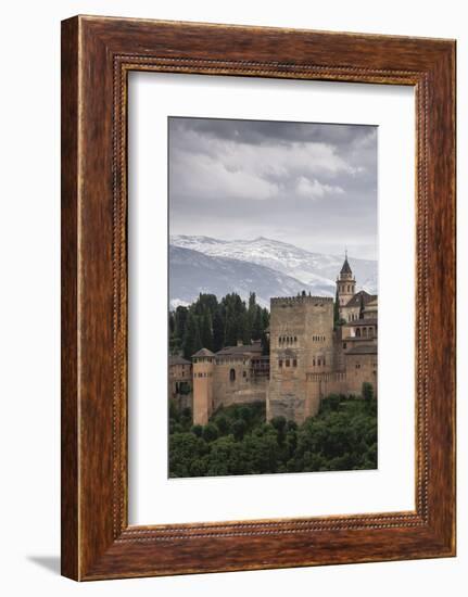 Alhambra, Granada, Province of Granada, Andalusia, Spain-Michael Snell-Framed Photographic Print