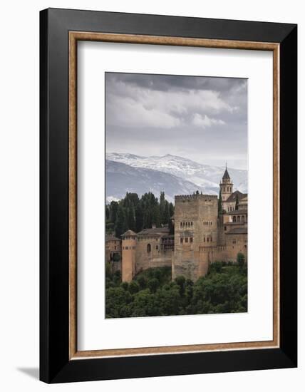 Alhambra, Granada, Province of Granada, Andalusia, Spain-Michael Snell-Framed Photographic Print