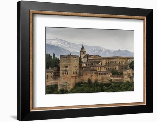 Alhambra, Granada, Province of Granada, Andalusia, Spain-Michael Snell-Framed Photographic Print