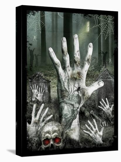 Stretched Canvas Print, , large