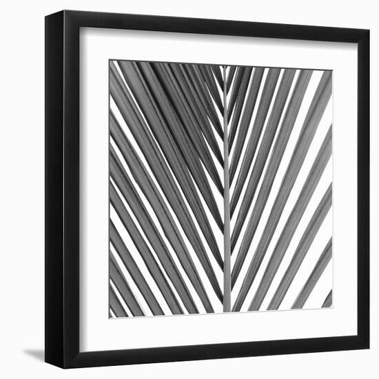 Alicante Noir-Ben Wood-Framed Giclee Print