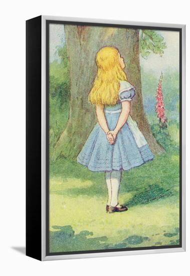 Alice and the Cheshire Cat, Illustration from Alice in Wonderland by Lewis Carroll-John Tenniel-Framed Premier Image Canvas