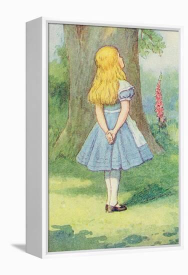 Alice and the Cheshire Cat, Illustration from Alice in Wonderland by Lewis Carroll-John Tenniel-Framed Premier Image Canvas