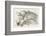 Alice and the Cheshire Cat the Cheshire Cat Fades Away-John Tenniel-Framed Photographic Print