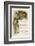 Alice and the Cheshire Cat-John Tenniel-Framed Photographic Print