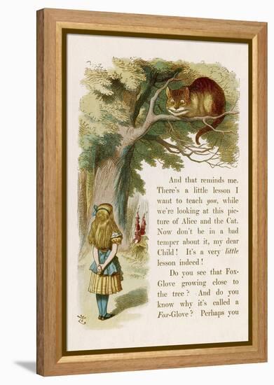 Alice and the Cheshire Cat-John Tenniel-Framed Premier Image Canvas