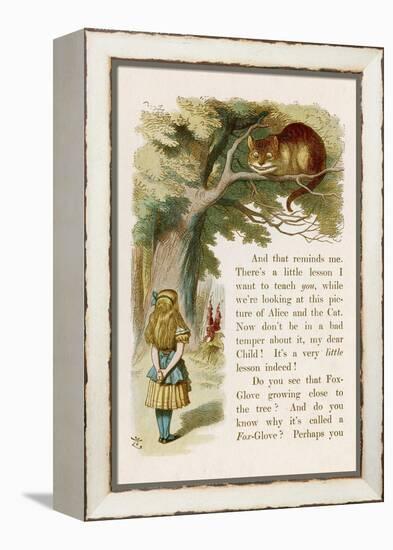 Alice and the Cheshire Cat-John Tenniel-Framed Premier Image Canvas