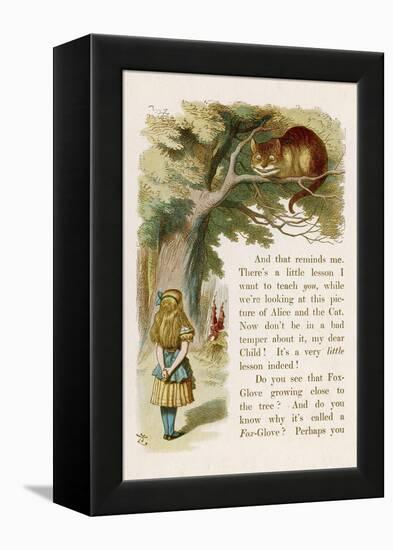 Alice and the Cheshire Cat-John Tenniel-Framed Premier Image Canvas