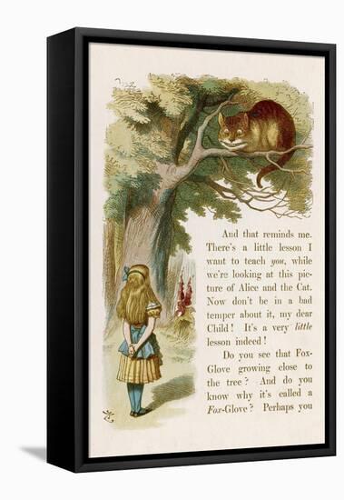 Alice and the Cheshire Cat-John Tenniel-Framed Premier Image Canvas