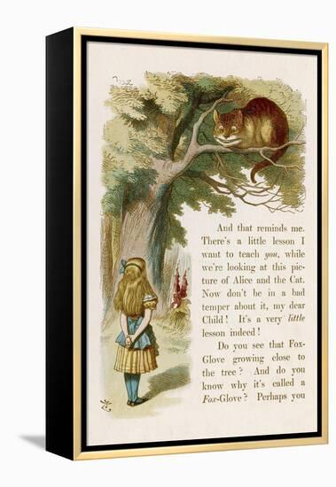 Alice and the Cheshire Cat-John Tenniel-Framed Premier Image Canvas