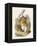 Alice and the White Rabbit-John Tenniel-Framed Premier Image Canvas