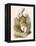 Alice and the White Rabbit-John Tenniel-Framed Premier Image Canvas