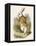 Alice and the White Rabbit-John Tenniel-Framed Premier Image Canvas