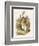 Alice and the White Rabbit-John Tenniel-Framed Photographic Print