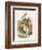 Alice and the White Rabbit-John Tenniel-Framed Photographic Print