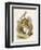 Alice and the White Rabbit-John Tenniel-Framed Photographic Print