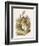 Alice and the White Rabbit-John Tenniel-Framed Photographic Print