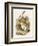 Alice and the White Rabbit-John Tenniel-Framed Photographic Print