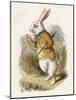 Alice and the White Rabbit-John Tenniel-Mounted Photographic Print