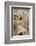 Alice: Cards Fly Up-Arthur Rackham-Framed Photographic Print