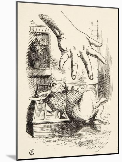 Alice Drops the White Rabbit, from 'Alice's Adventures in Wonderland' by Lewis Carroll (1832 - 98),-John Tenniel-Mounted Giclee Print