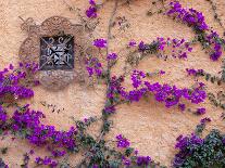 Window with Geraniums, San Miguel De Allende, Mexico-Alice Garland-Framed Photographic Print