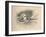 'Alice in a sea of tears', 1889-John Tenniel-Framed Giclee Print