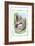 Alice in Wonderland: Alice and the Pig-Baby-John Tenniel-Framed Art Print