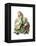 Alice in Wonderland by John Tenniel-Piddix-Framed Stretched Canvas