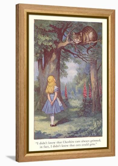 Alice in Wonderland, Cheshire Cat-null-Framed Stretched Canvas