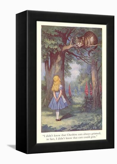 Alice in Wonderland, Cheshire Cat-null-Framed Stretched Canvas