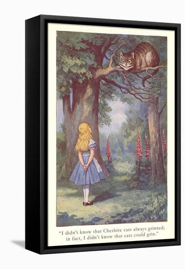 Alice in Wonderland, Cheshire Cat-null-Framed Stretched Canvas