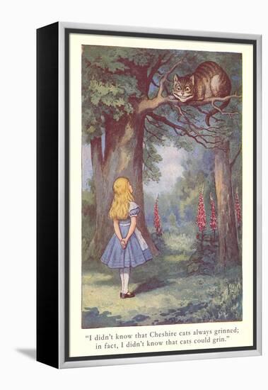 Alice in Wonderland, Cheshire Cat-null-Framed Stretched Canvas