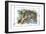 Alice in Wonderland: The Cheshire Cat-John Tenniel-Framed Art Print