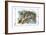 Alice in Wonderland: The Cheshire Cat-John Tenniel-Framed Art Print