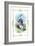 Alice in Wonderland: The White Rabbit-John Tenniel-Framed Art Print