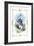 Alice in Wonderland: The White Rabbit-John Tenniel-Framed Art Print