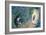 Alice in Wonderland-Philip Mendoza-Framed Giclee Print