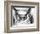 Alice's Adventures in Wonderland-null-Framed Photo