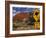 Alice Springs, Traffic Sign Beside Road Through Outback, Red Rocks of Olgas Behind, Australia-Amar Grover-Framed Photographic Print