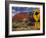 Alice Springs, Traffic Sign Beside Road Through Outback, Red Rocks of Olgas Behind, Australia-Amar Grover-Framed Photographic Print